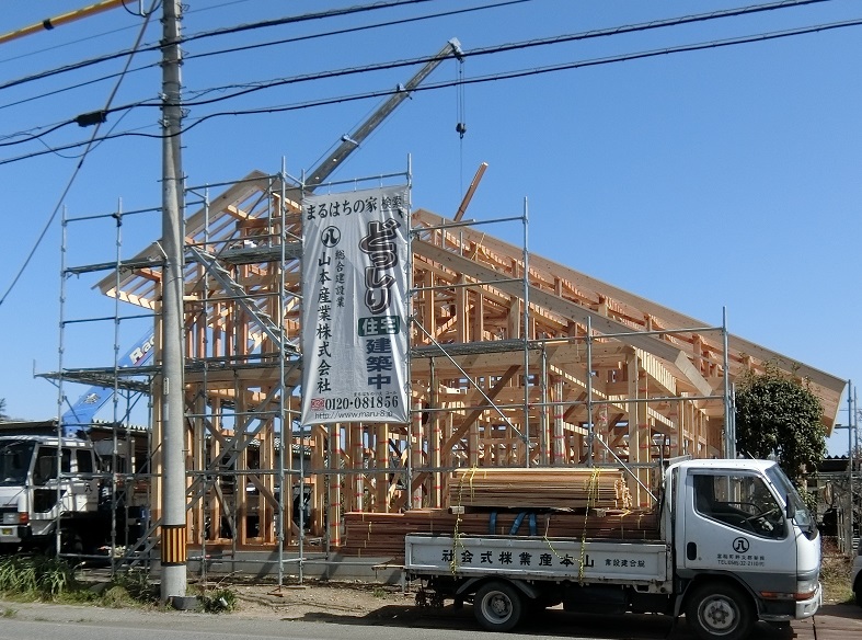 手刻みの平屋　建方